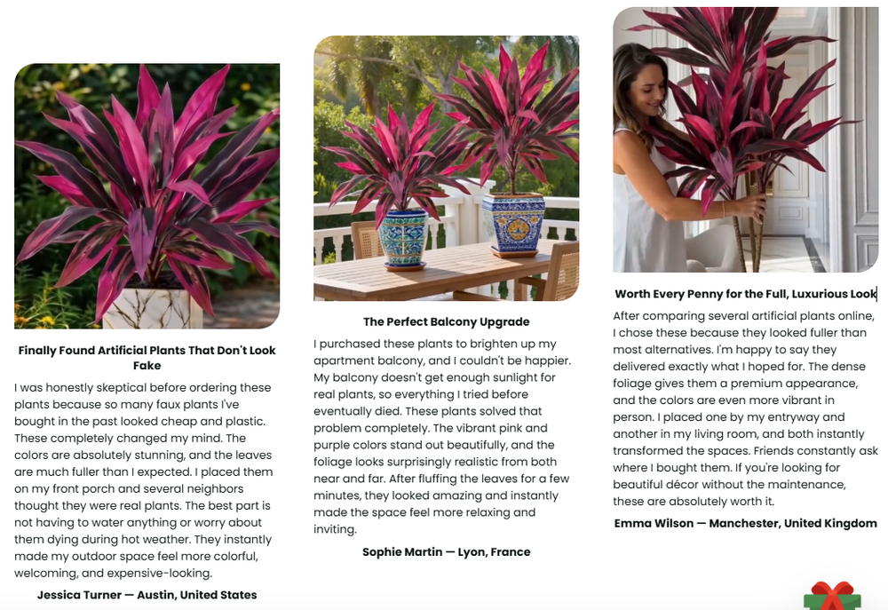 🔥Last Day 50% OFF🔥2Pcs Artificial Boston Fern & Dragon's Blood Tree Plants